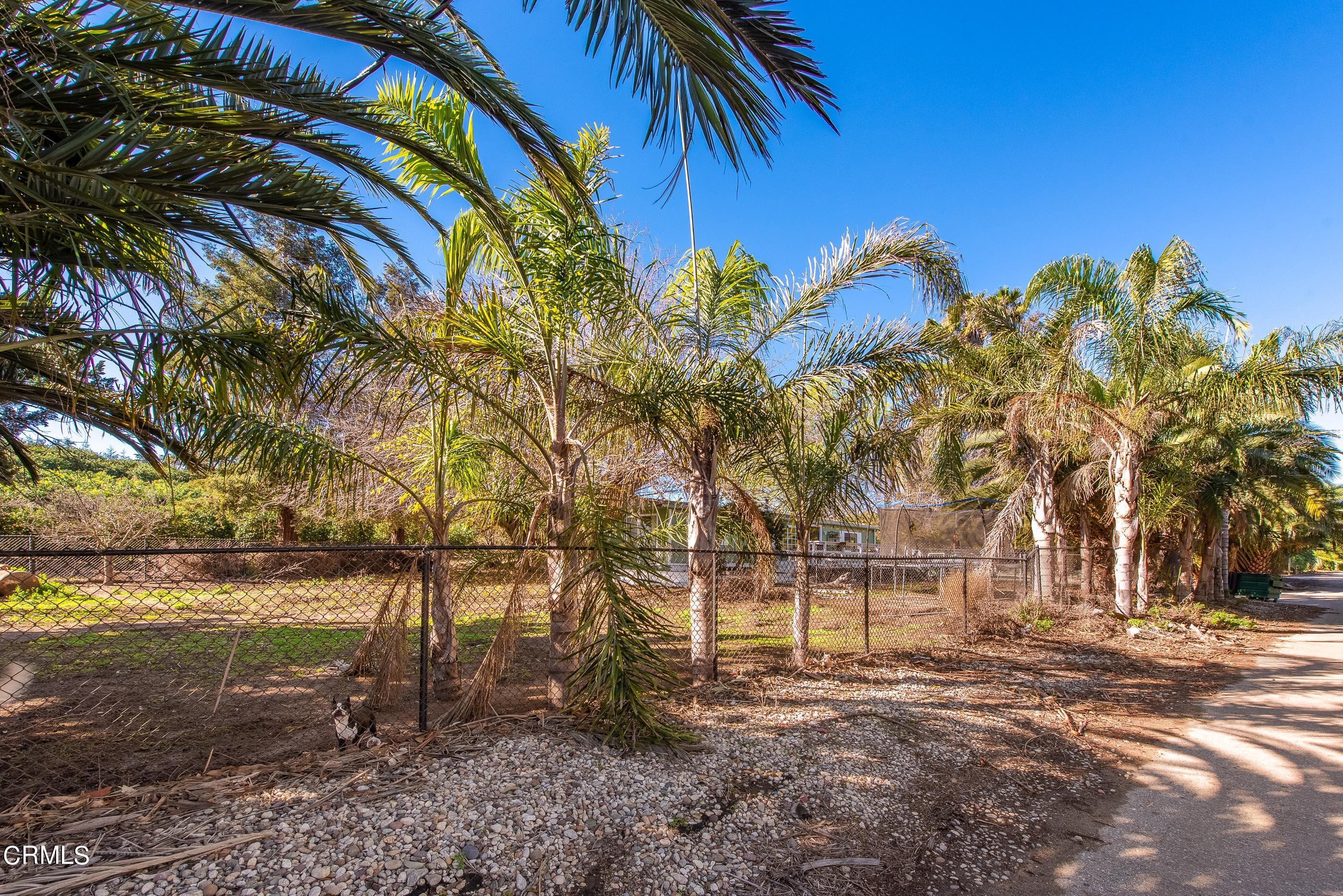 4365 Hitch Boulevard Moorpark, CA 93021 - Photo 13 of 25 4365 Hitch Blvd Moorpark-7