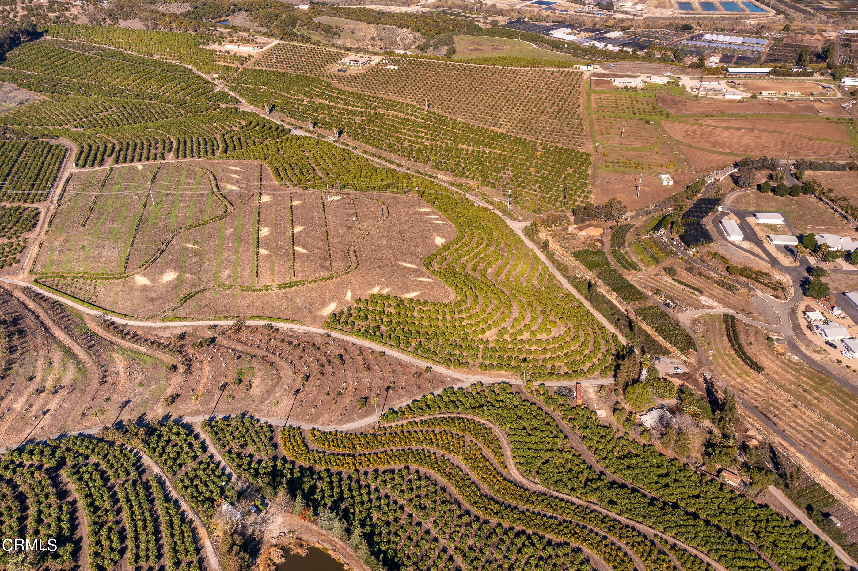 4365 Hitch Boulevard Moorpark, CA 93021 - Photo 16 of 25 4365 Hitch Blvd Moorpark-4