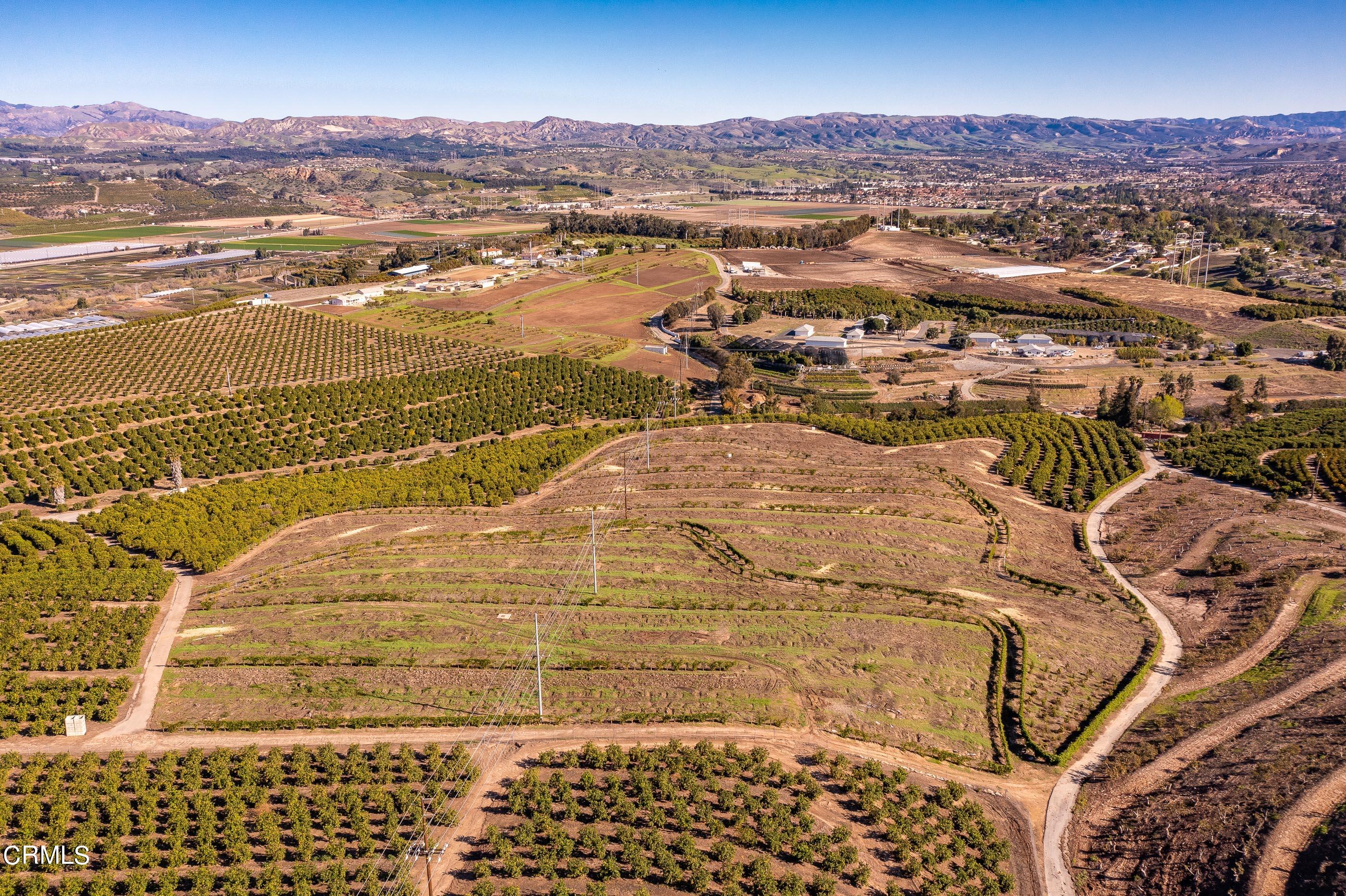 4365 Hitch Boulevard Moorpark, CA 93021 - Photo 23 of 25 4365 Hitch Blvd Moorpark-21