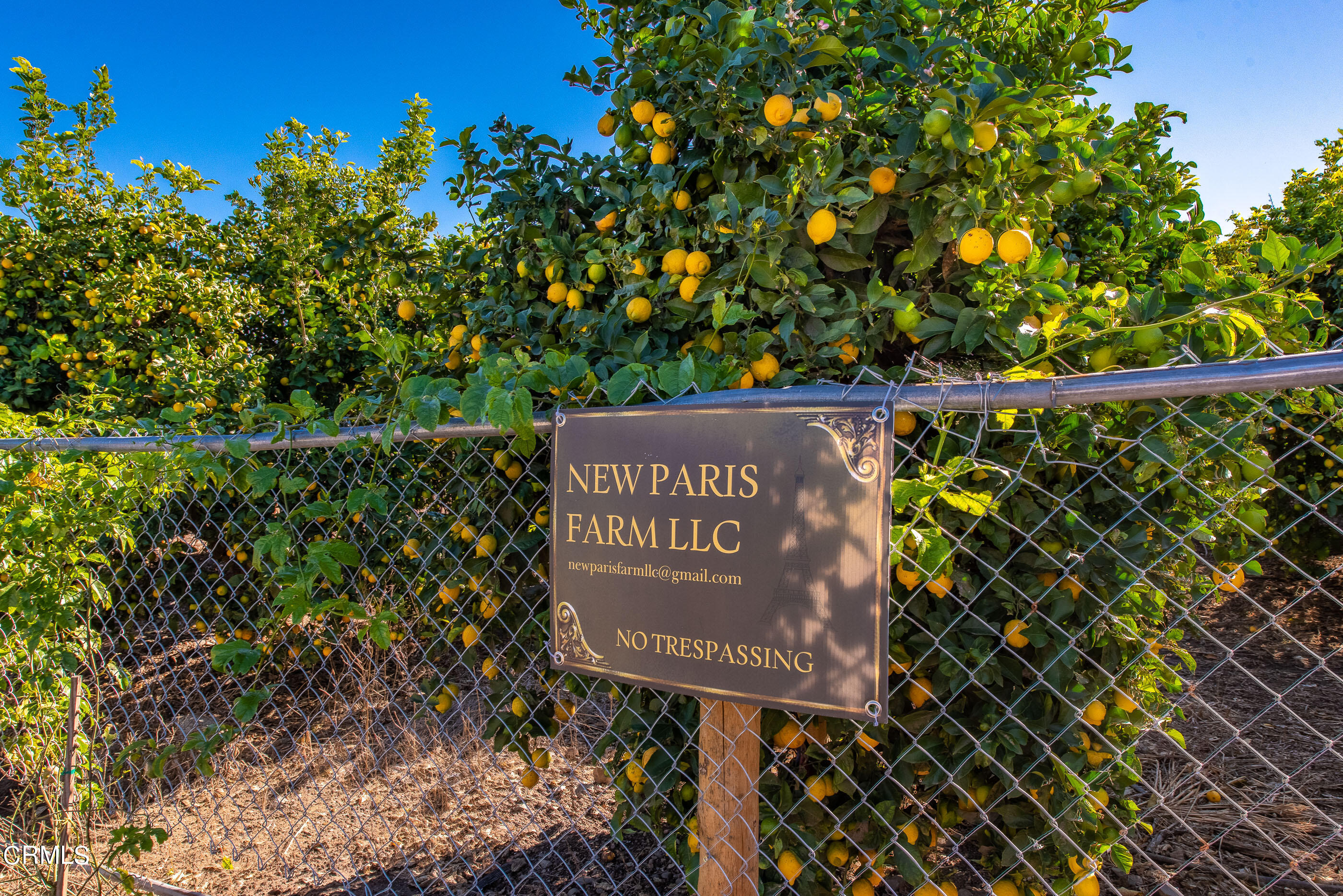 4365 Hitch Boulevard Moorpark, CA 93021 - Photo 3 of 25 4365 Hitch Blvd Moorpark-18