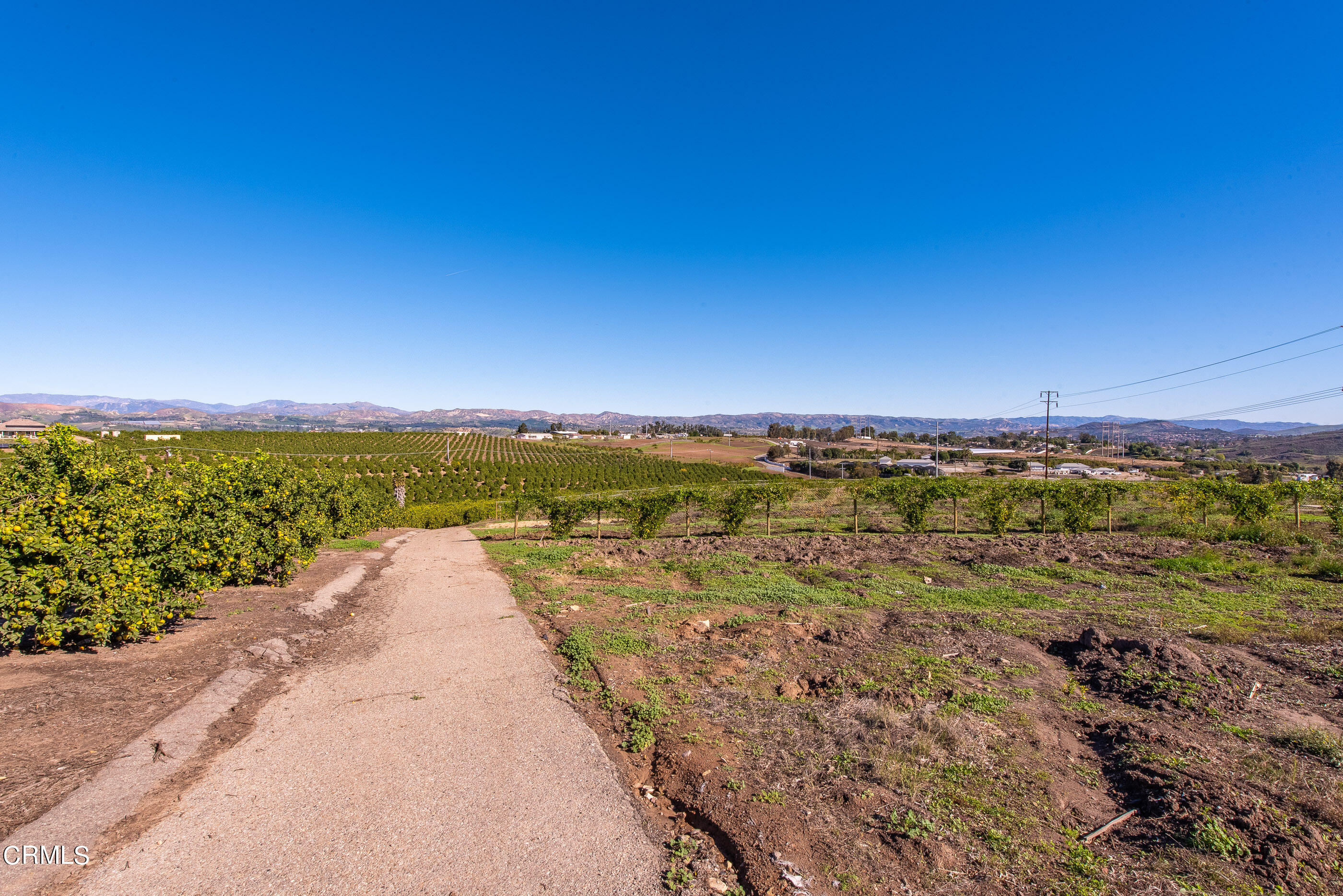 4365 Hitch Boulevard Moorpark, CA 93021 - Photo 4 of 25 4365 Hitch Blvd Moorpark-17