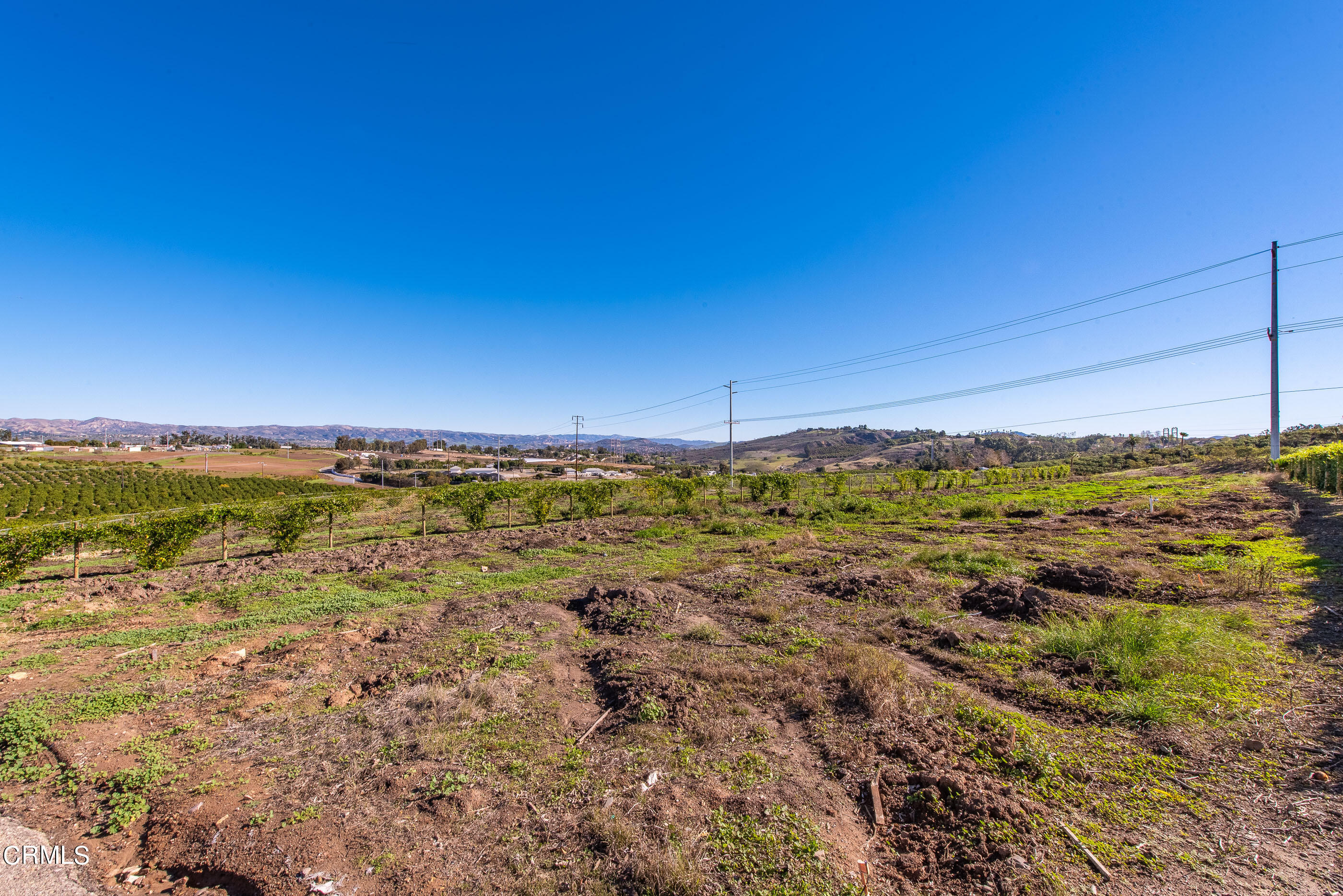 4365 Hitch Boulevard Moorpark, CA 93021 - Photo 5 of 25 4365 Hitch Blvd Moorpark-16