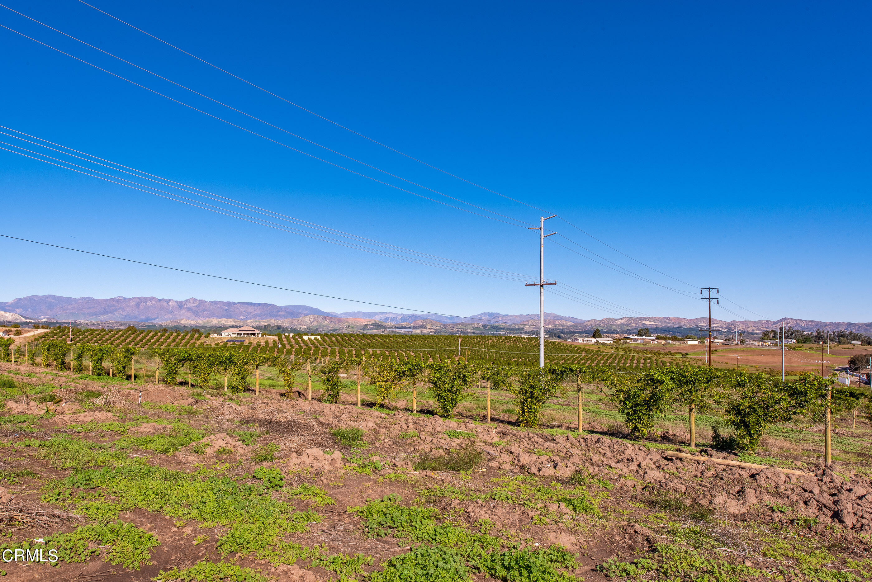 4365 Hitch Boulevard Moorpark, CA 93021 - Photo 6 of 25 4365 Hitch Blvd Moorpark-14