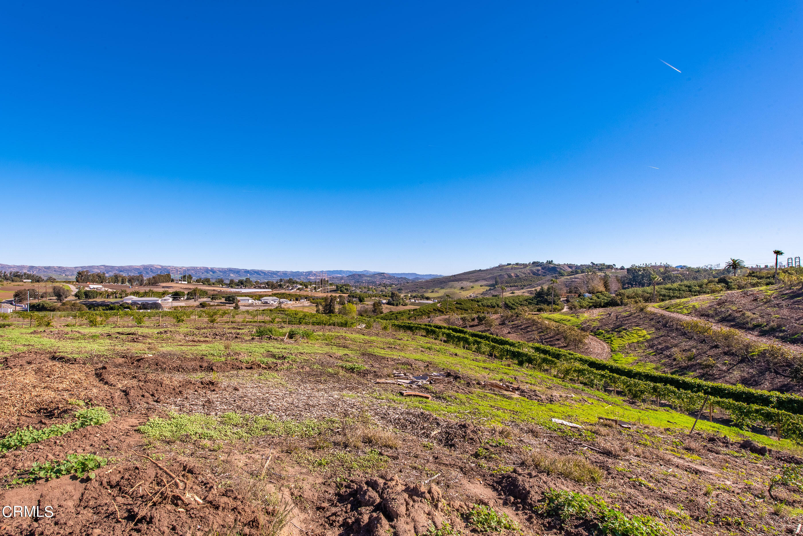 4365 Hitch Boulevard Moorpark, CA 93021 - Photo 8 of 25 4365 Hitch Blvd Moorpark-12