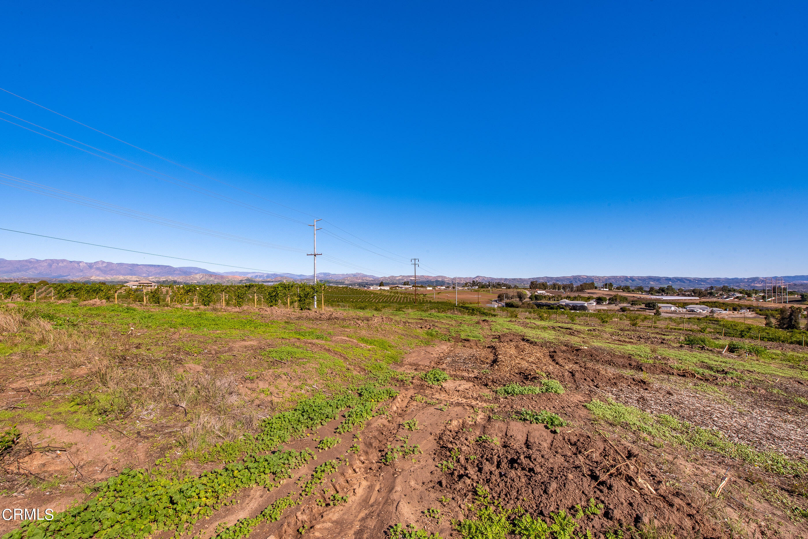 4365 Hitch Boulevard Moorpark, CA 93021 - Photo 9 of 25 4365 Hitch Blvd Moorpark-11