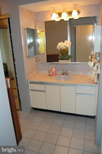5505 Seminary Road, Unit 508N Falls Church, VA 22041 - Photo 5 of 22 Master Bath