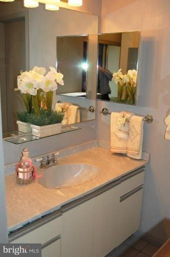 5505 Seminary Road, Unit 508N Falls Church, VA 22041 - Photo 6 of 22 Master Bath #2