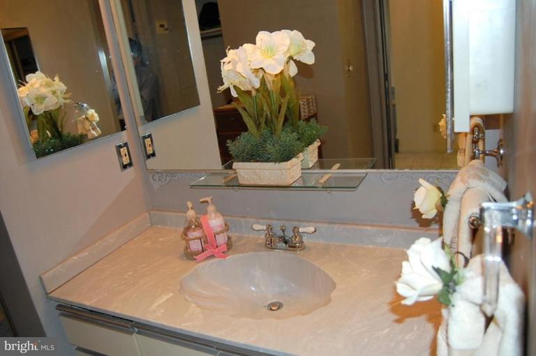 5505 Seminary Road, Unit 508N Falls Church, VA 22041 - Photo 7 of 22 Master Bedroom #3