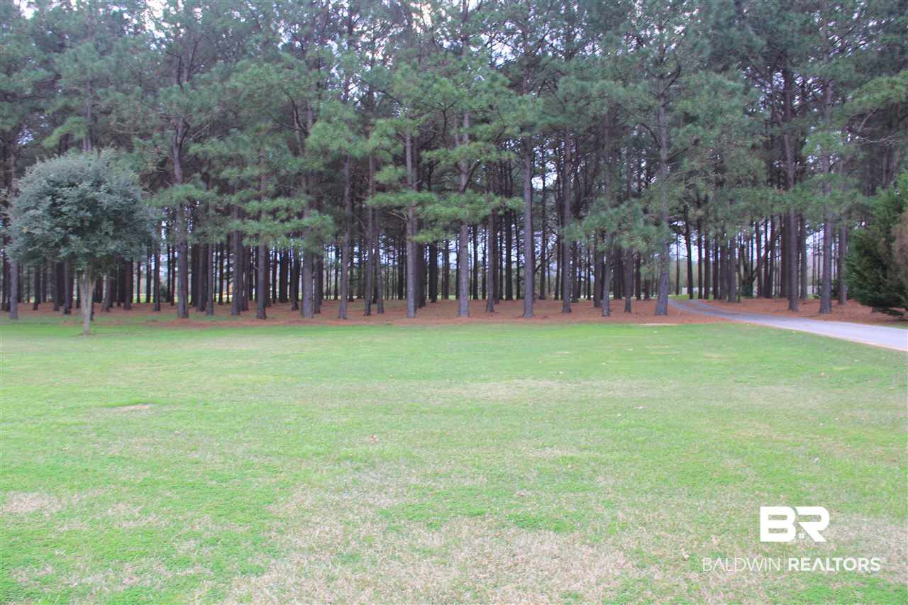 1649 Beulah Campground Road Repton, AL 36475 - Photo 3 of 30