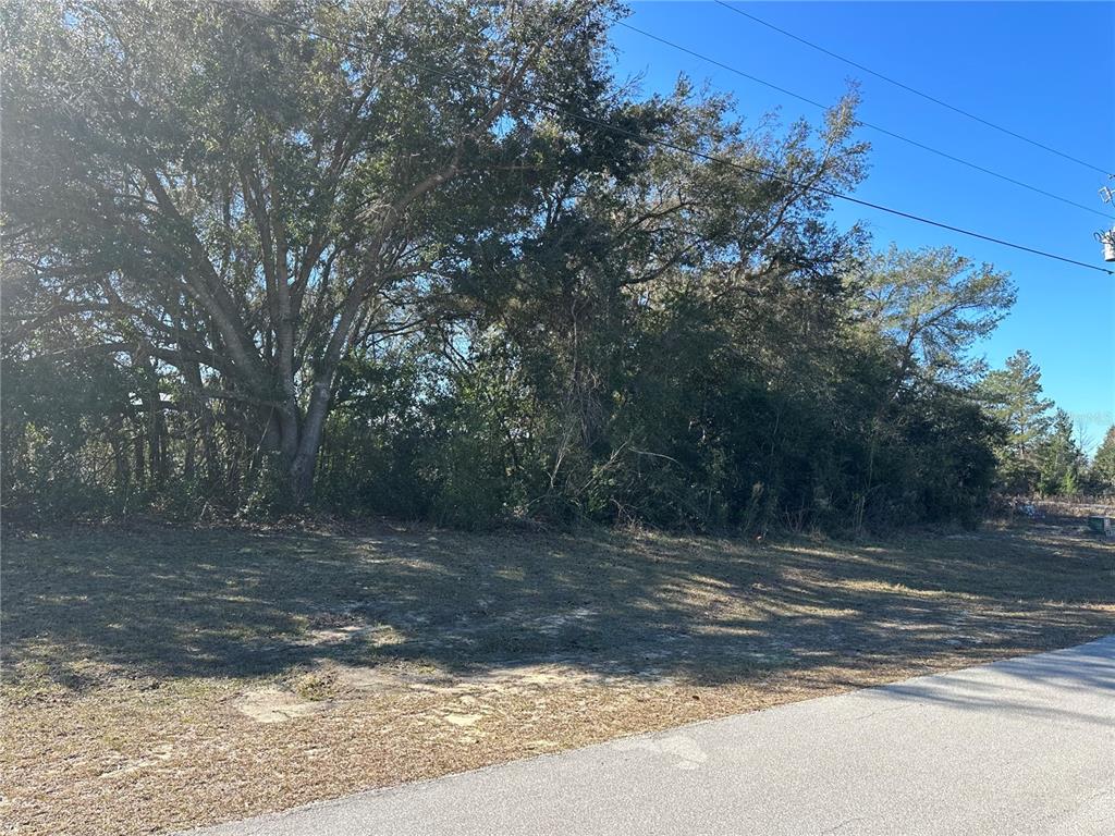 Southwest 17th Terrace Road Ocala, FL 34473 - Photo 1 of 1 Gallery Image 1