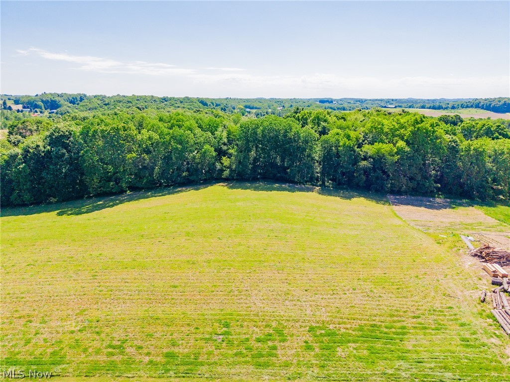 Ridge Road Minerva, OH 44657 - Photo 47 of 49
