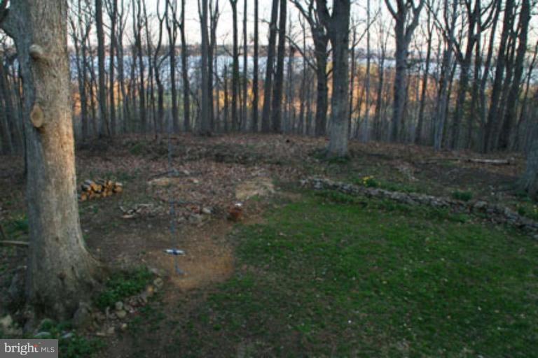 14695 West Ridge Road Accokeek, MD 20607 - Photo 14 of 16 a view of backyard with green space