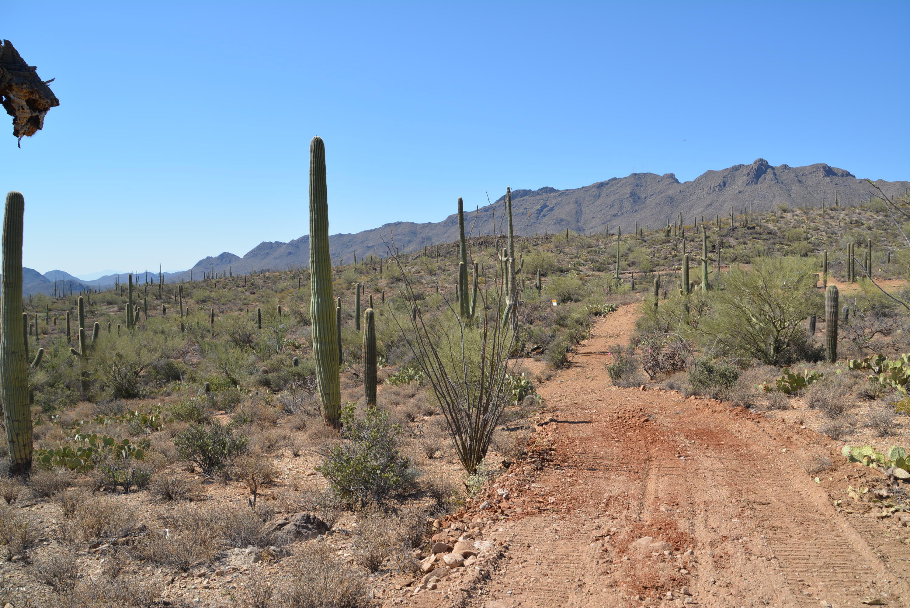 0 Broken Spring Tucson, AZ 85745 - Photo 13 of 24