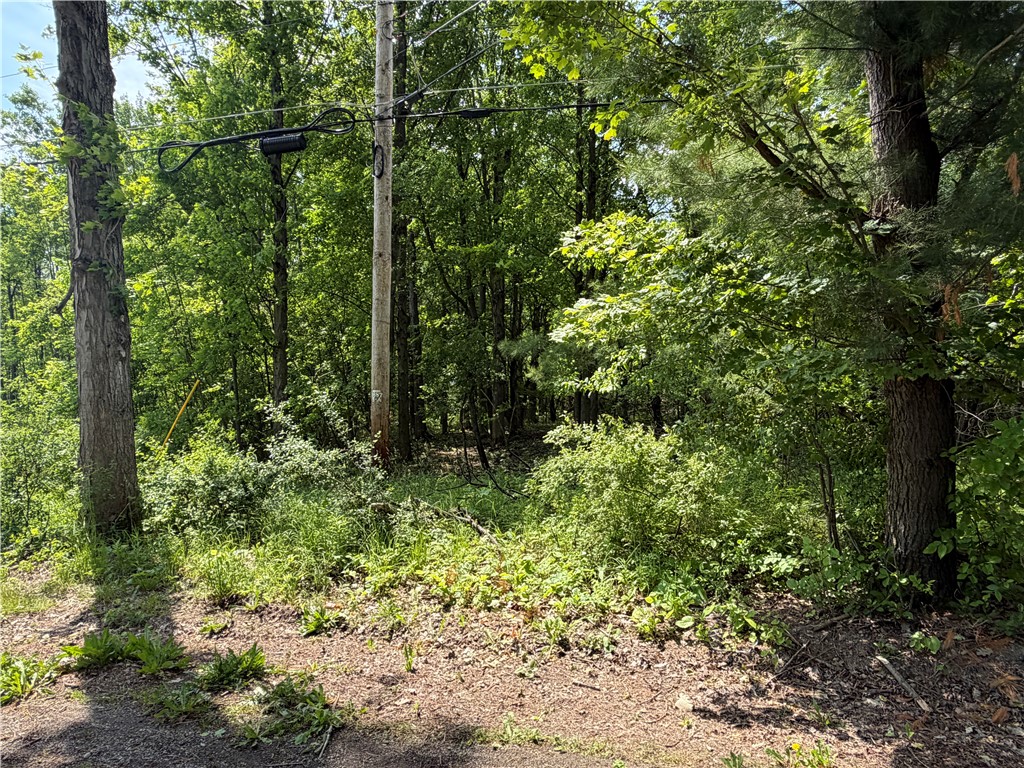 Vl Reed Road Dansville, NY 14437 - Photo 5 of 29