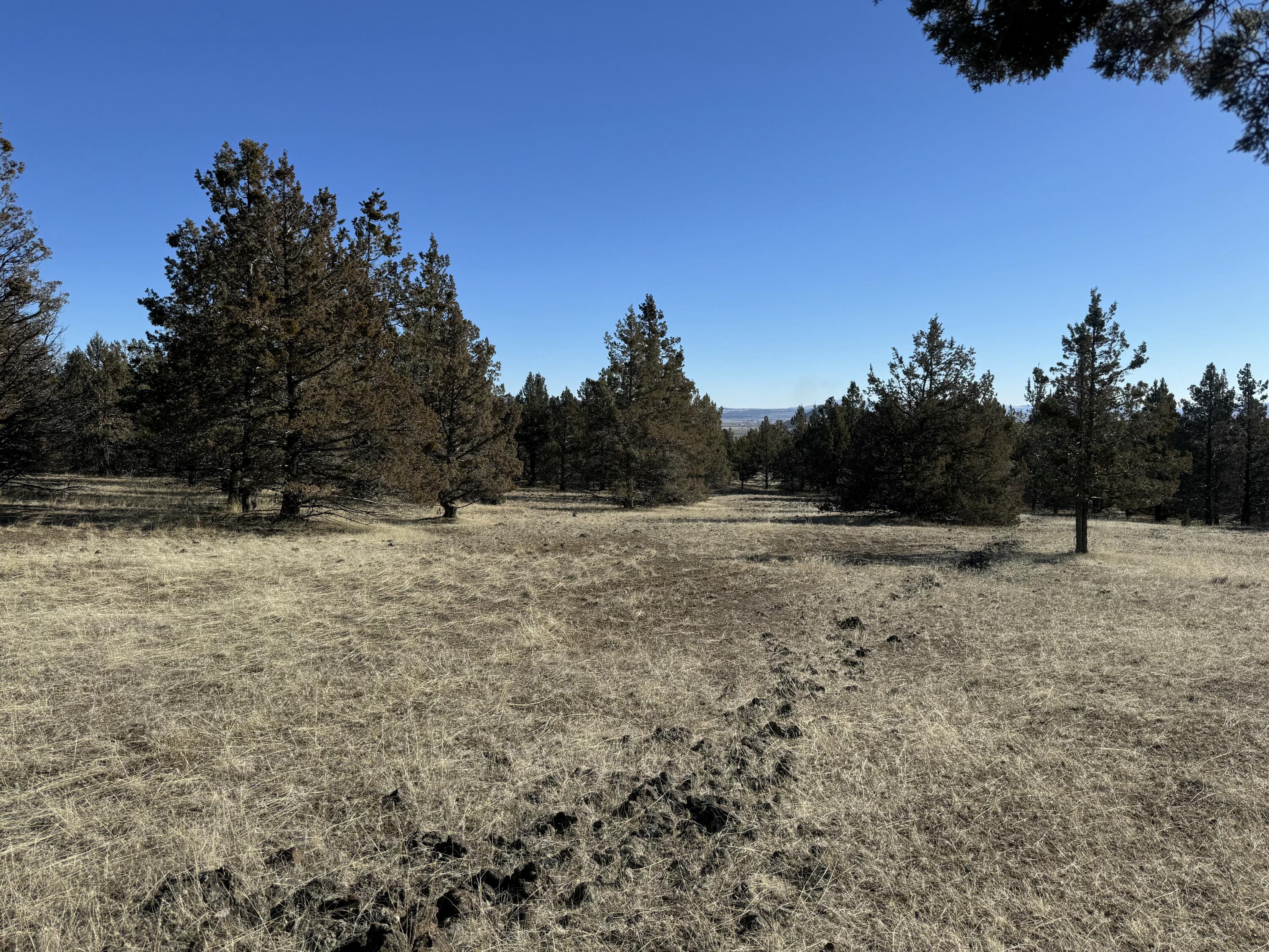 0 Harpold Road, Unit 627398 Malin, OR 97632 - Photo 3 of 10 tempImageVFCuXb
