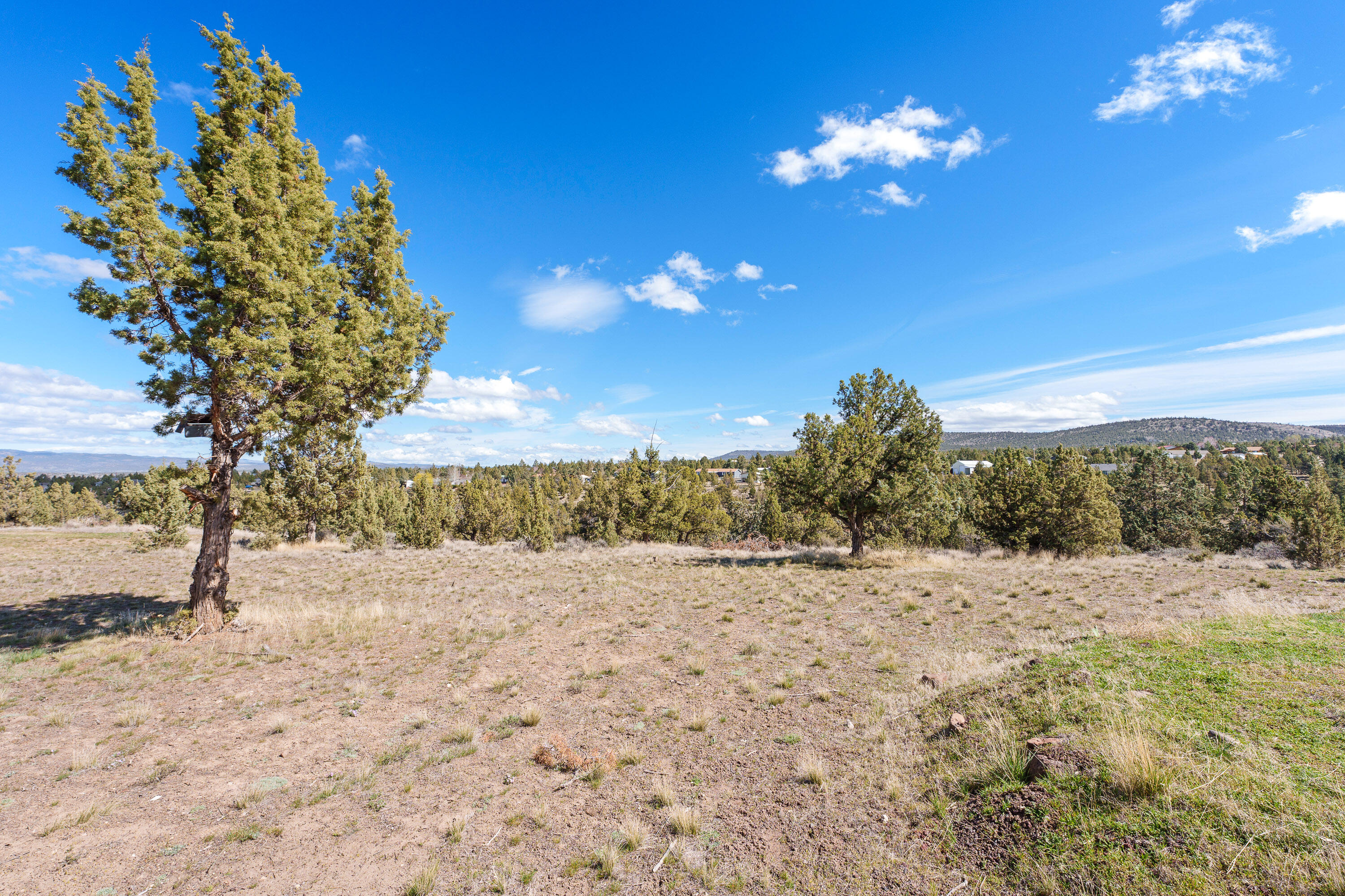 5674 Southeast Davis Loop Prineville, OR 97754 - Photo 42 of 48 a view of a yard with a tree