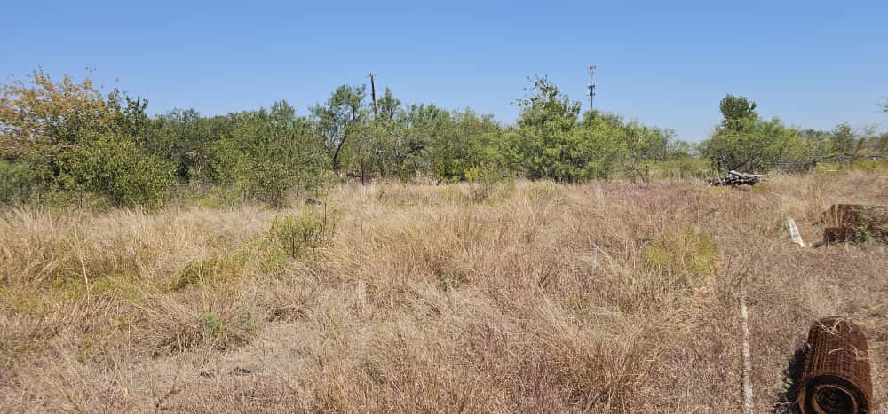 169 El Rey Drive Kyle, TX 78640 - Photo 8 of 10 View of local wilderness with rural landscape