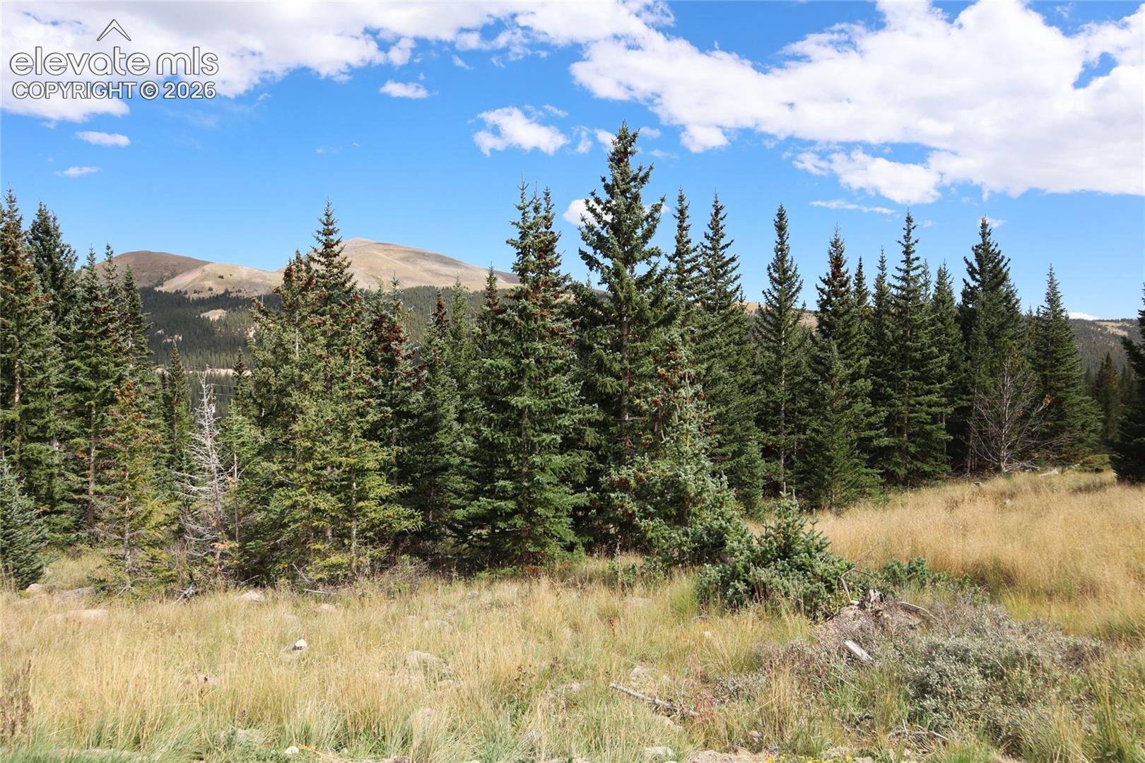 1480 Roberts Road Alma, CO 80420 - Photo 4 of 26 Gallery Image 4