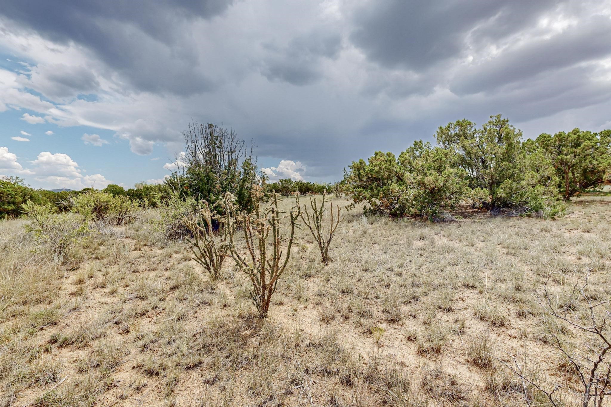 15 Dovela Road Santa Fe, NM 87508 - Photo 10 of 11