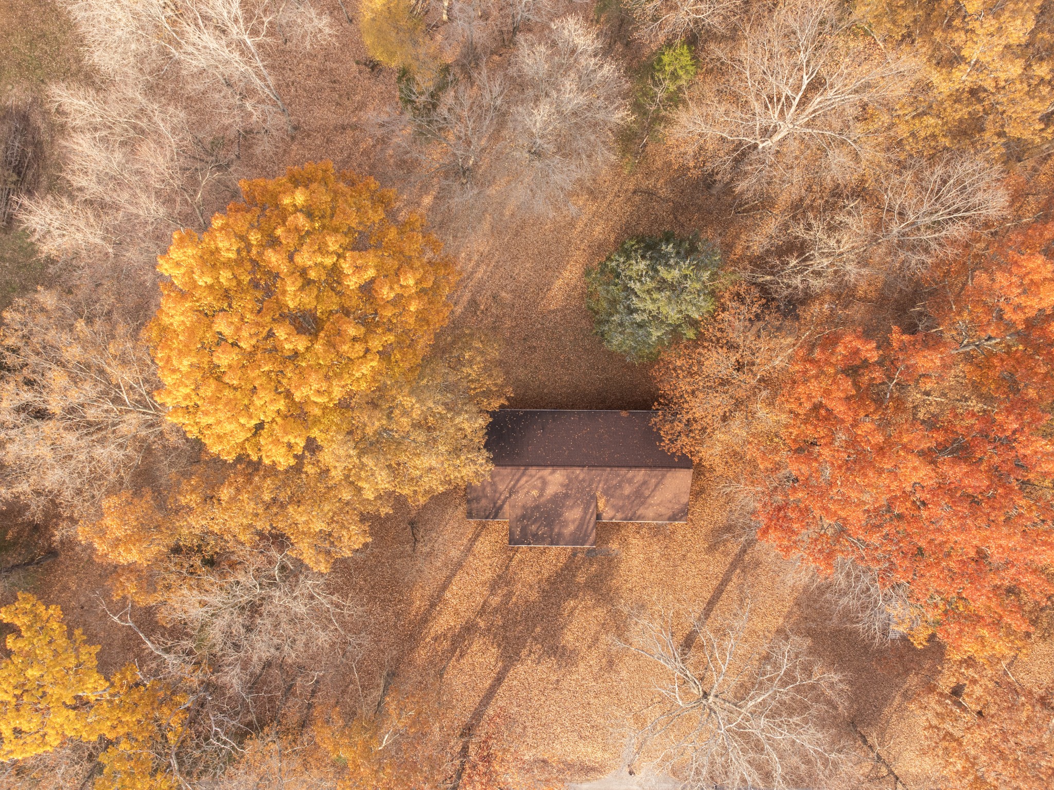 139 Magnolia Lane Normandy, TN 37360 - Photo 16 of 17