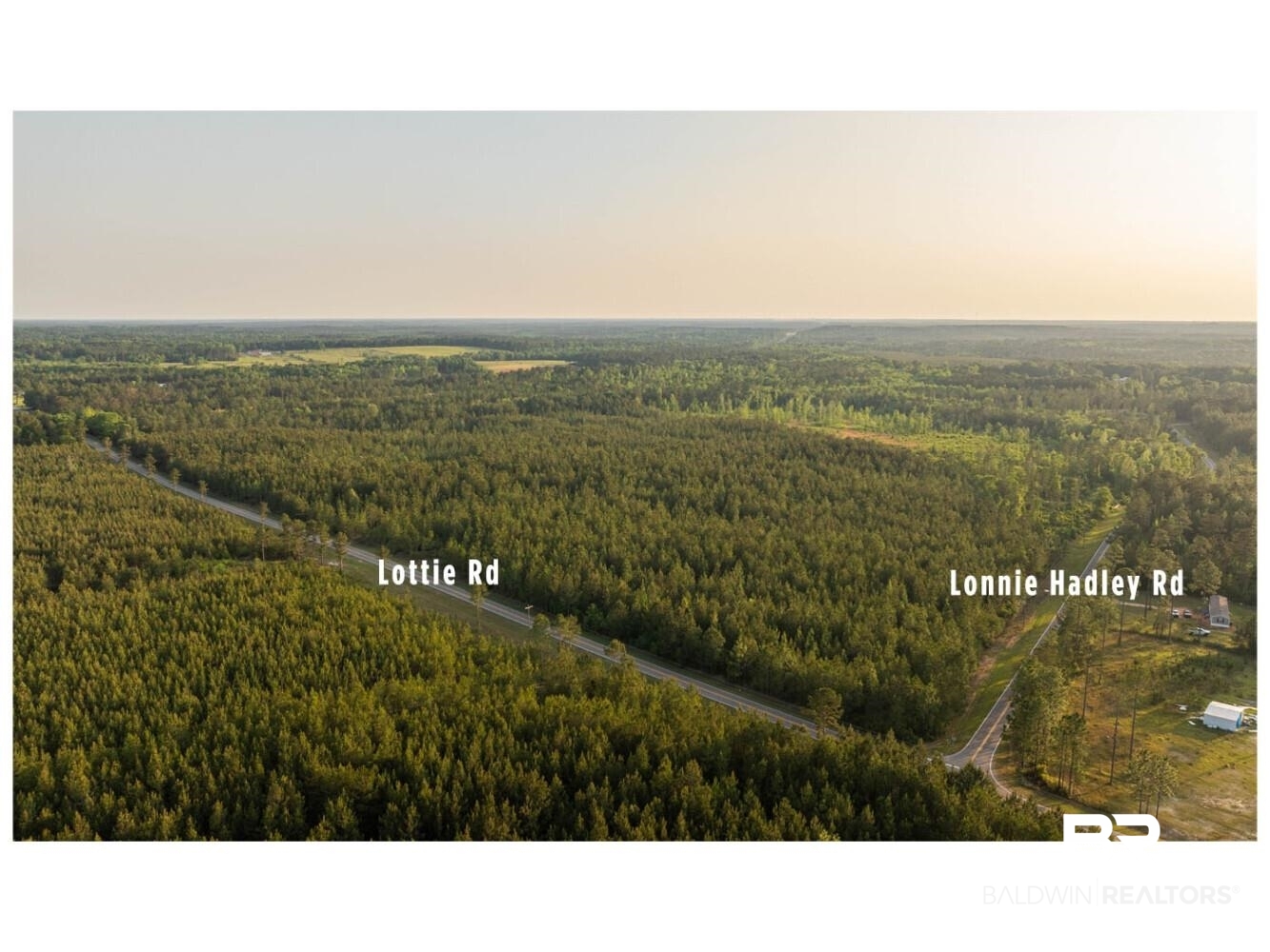 0 Lonnie Hadley Road Perdido, AL 36562 - Photo 39 of 39