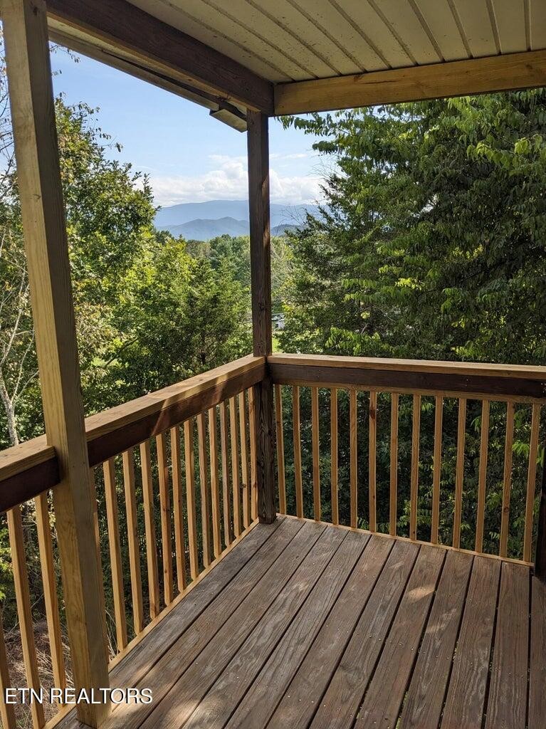 2482 Elk Way Newport, TN 37821 - Photo 28 of 59