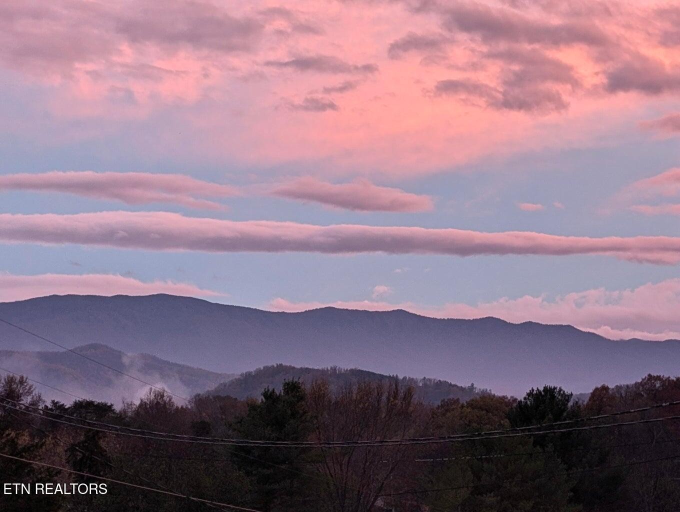 2482 Elk Way Newport, TN 37821 - Photo 58 of 59