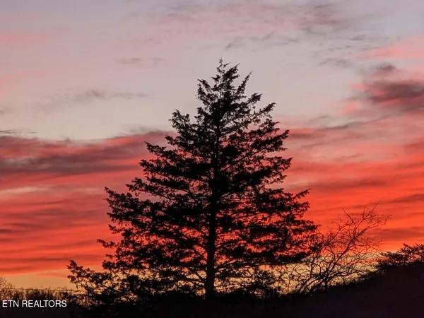 $748,800 | 2482 Elk Way, Newport, TN 37821