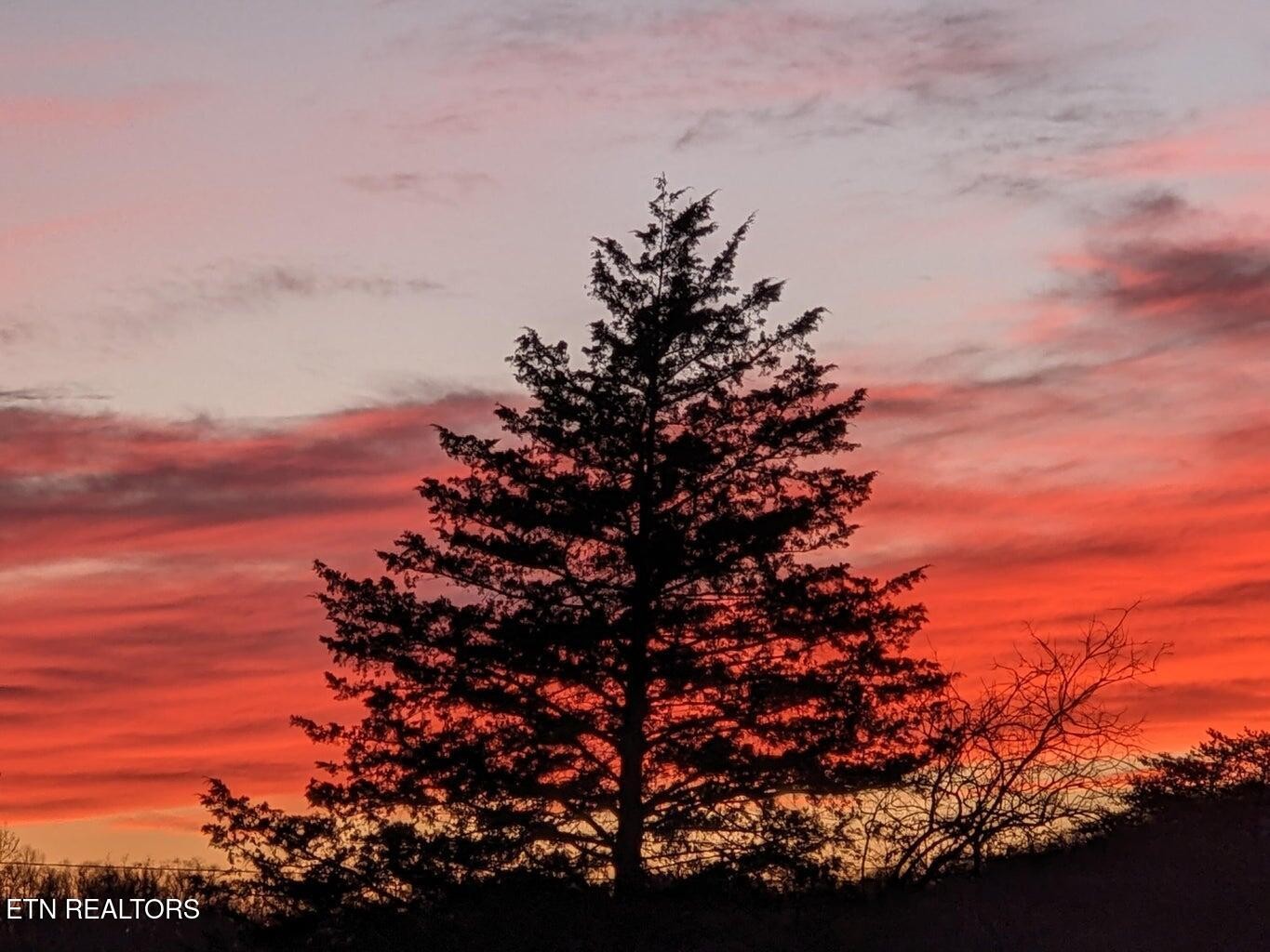 2482 Elk Way Newport, TN 37821 - Photo 59 of 59