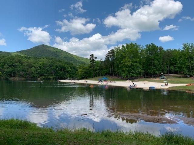 147 Laurel Mill Trail Jasper, GA 30143 - Photo 50 of 64 a view of a lake with a yard