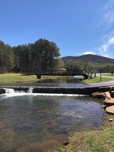 147 Laurel Mill Trail Jasper, GA 30143 - Photo 60 of 64 a view of a lake with houses in the background