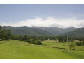1360 Seaton Road Greeneville, TN 37743 - Photo 4 of 17 Photo 4
