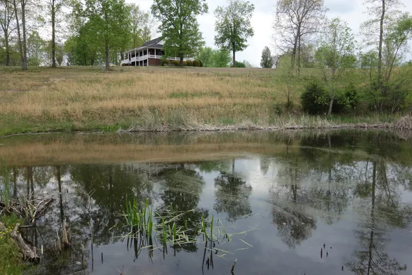 a view of lake