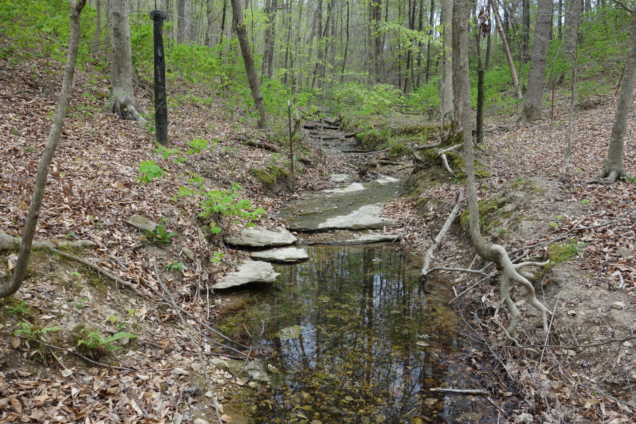 1709 Holland Road Lafayette, TN 37083 - Photo 35 of 44