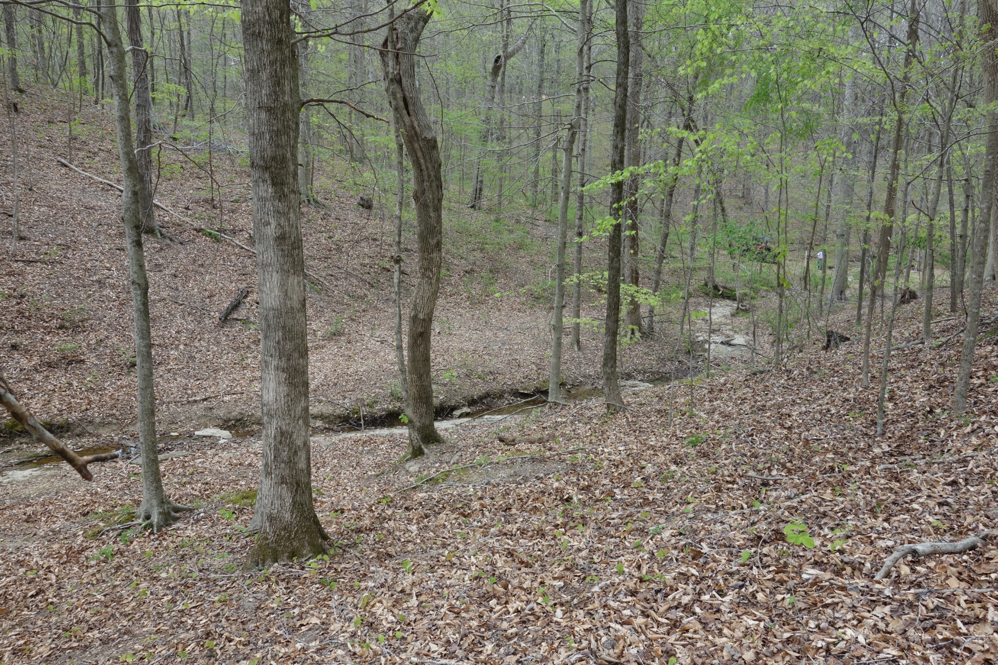 1709 Holland Road Lafayette, TN 37083 - Photo 37 of 44