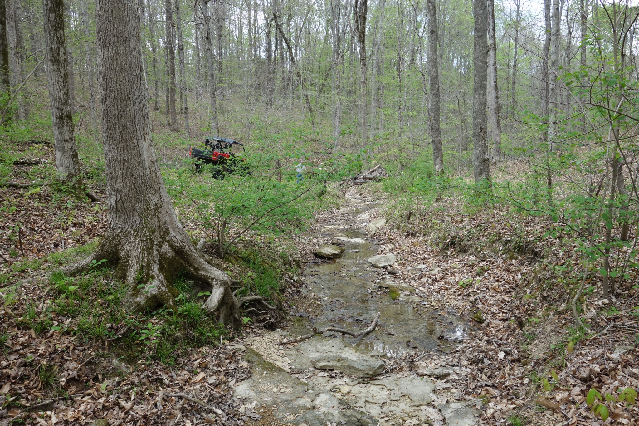 1709 Holland Road Lafayette, TN 37083 - Photo 38 of 44