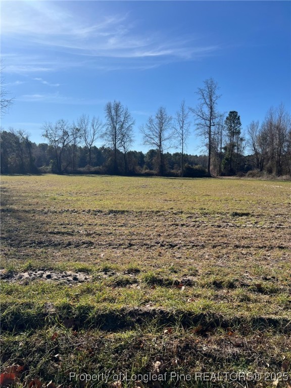 Kennel Road Wade, NC 28395 - Photo 1 of 7