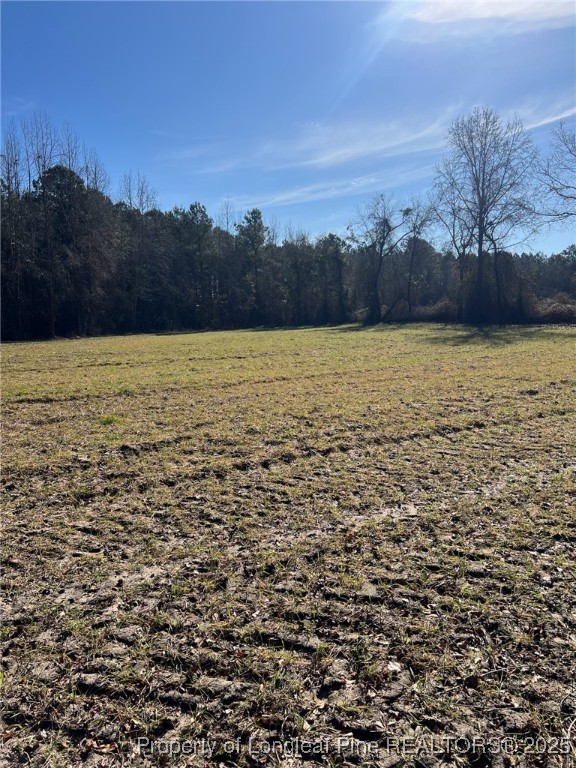 Kennel Road Wade, NC 28395 - Photo 2 of 7