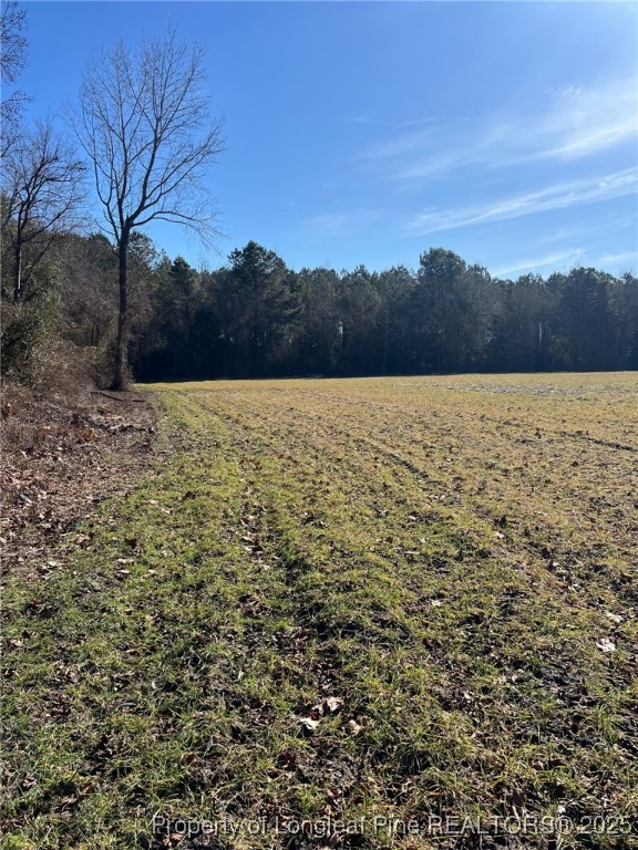 Kennel Road Wade, NC 28395 - Photo 5 of 7
