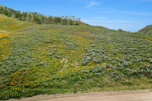 a view of a field with an ocean