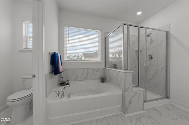 a bathroom with a tub a toilet and a shower