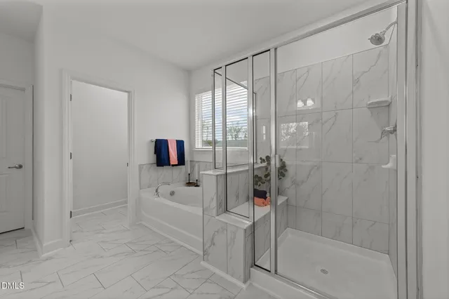 a bathroom with a bathtub and a shower