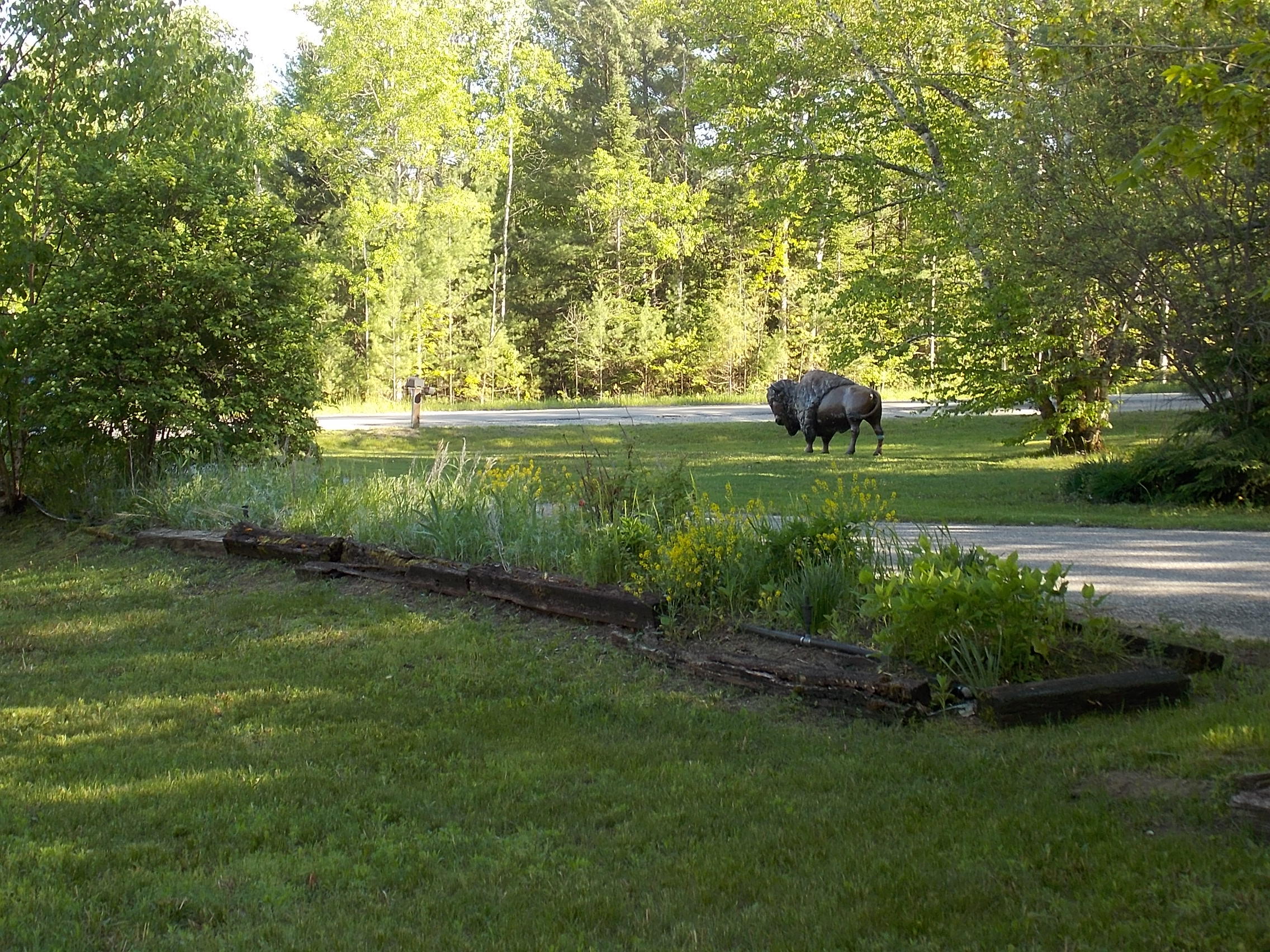 2690 Riggsville Road Cheboygan, MI 49721 - Photo 56 of 65 Gallery Image 56