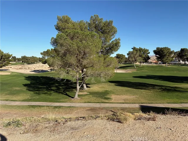 a view of a tiny house with a yard