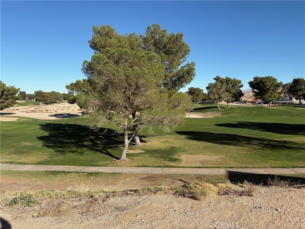 27449 Lakeview Drive Helendale, CA 92342 - Photo 2 of 3 a view of a tiny house with a yard