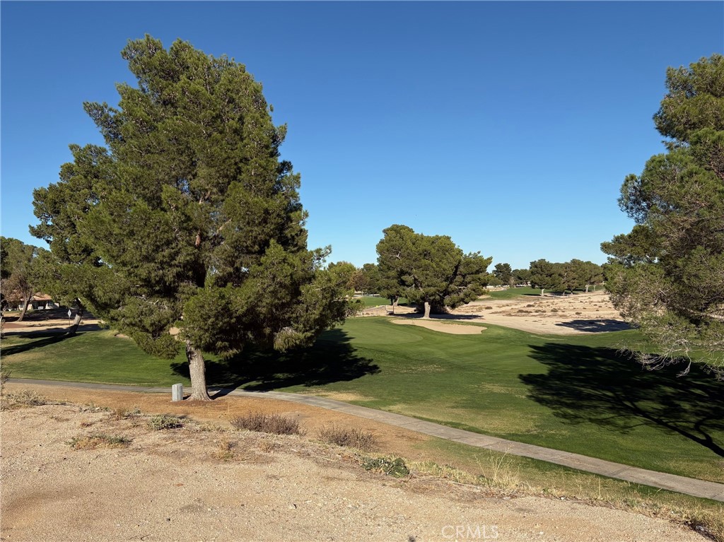 27449 Lakeview Drive Helendale, CA 92342 - Photo 3 of 3 a view of a yard with a lake view