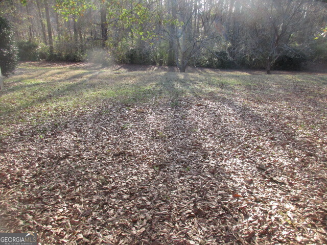 196 Charlie Sheppard Road Jackson, GA 30233 - Photo 8 of 8 a view of a yard with a tree