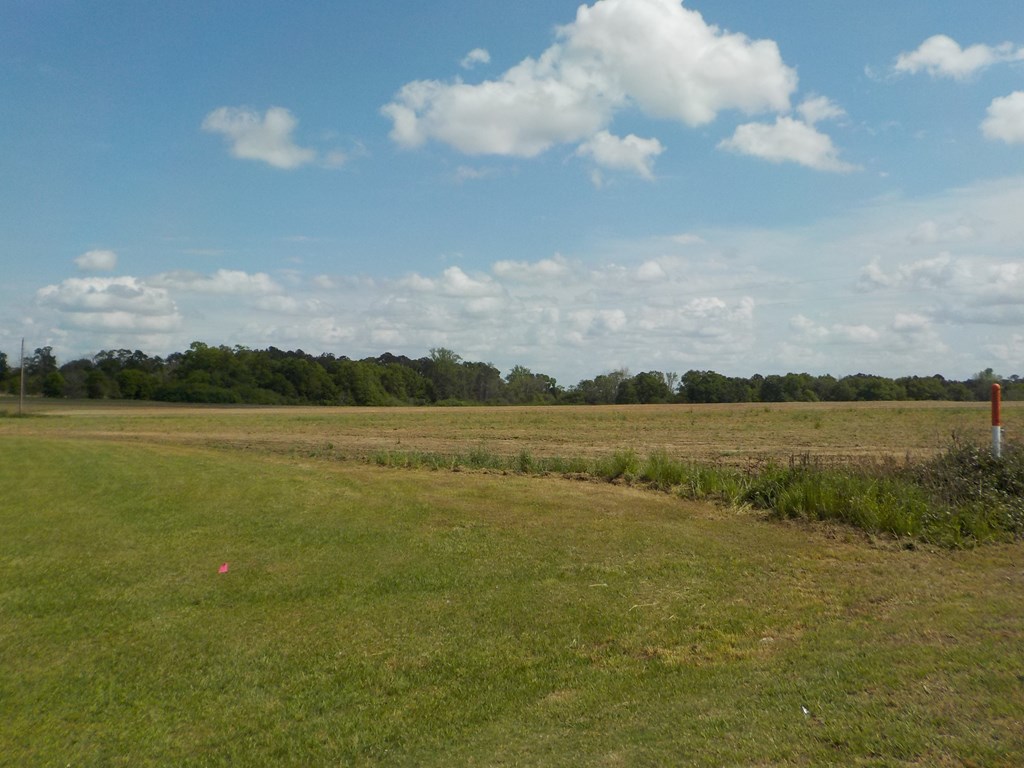 5.3-ac Memphis Church Road Dothan, AL 36301 - Photo 16 of 29