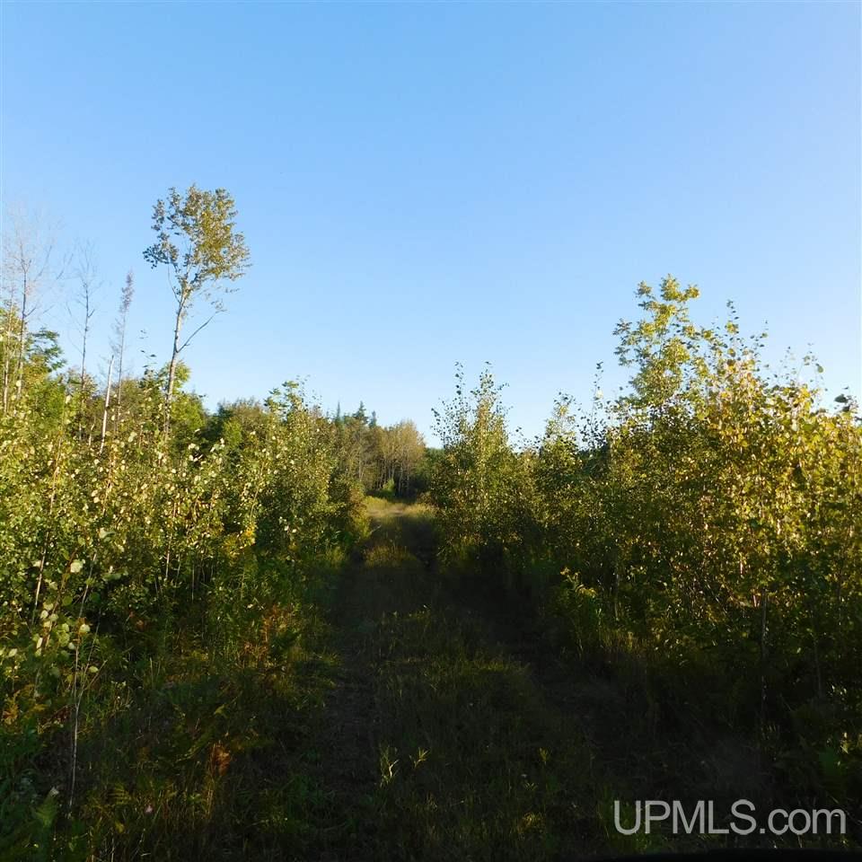 Tbd Off Murray Road Perronville, MI 49873 - Photo 27 of 27