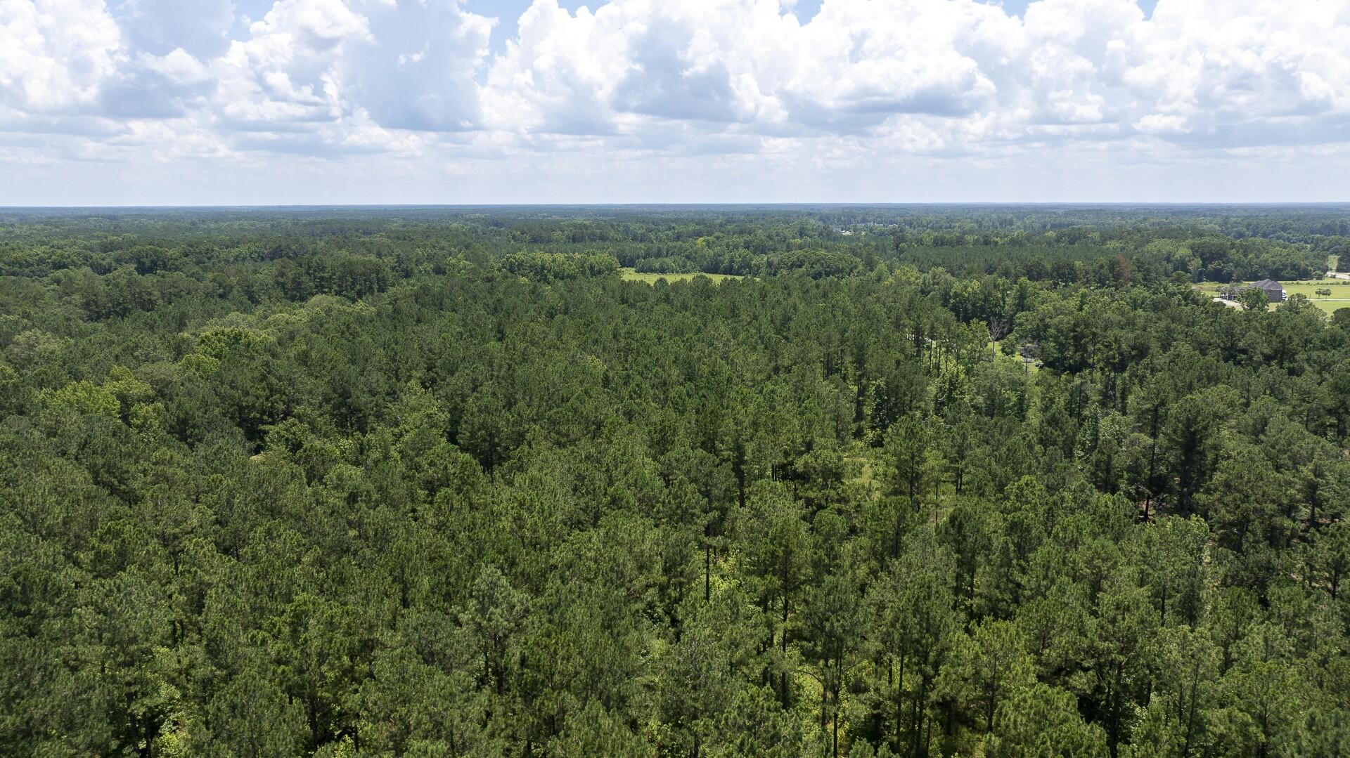 0 Toney Bay Road, Unit 3 Holly Hill, SC 29059 - Photo 28 of 36 Toney Bay-28